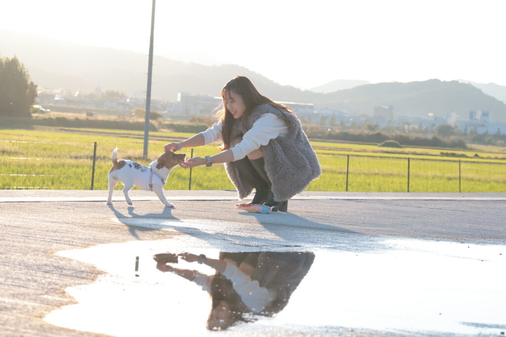 散歩する犬